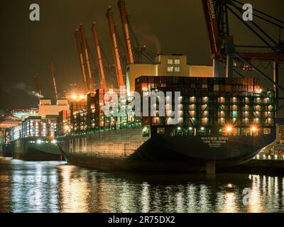 Navi portacontainer nel porto di Walterhofer, Amburgo Foto Stock