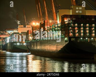 Navi portacontainer nel porto di Walterhofer, Amburgo Foto Stock