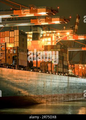 Navi portacontainer nel porto di Walterhofer, Amburgo Foto Stock