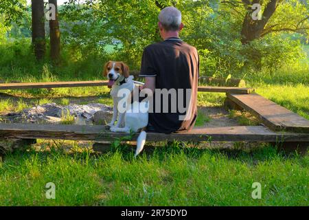 Un uomo anziano seduto su una panchina con il suo cane. Cane e il suo proprietario in natura. Il concetto di amicizia tra uomo e cane. Foto Stock