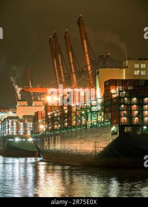 Navi portacontainer nel porto di Walterhofer, Amburgo Foto Stock