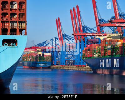 Navi portacontainer nel porto di Walterhofer, Amburgo Foto Stock