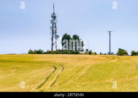 Albero di comunicazione situato nel South Downs National Park a nord di Worthing, West Sussex, Regno Unito. Foto Stock