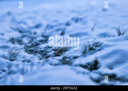 Questa splendida scena invernale mostra un paesaggio tranquillo coperto da una coperta di neve fresca e bianca Foto Stock