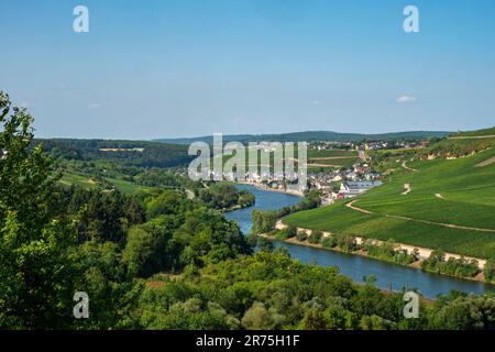 Vista da Nittel-Rehlingen a Wormeldange, Lussemburgo, alta Mosella, Mosella, Valle della Mosella, Saargau, Renania-Palatinato, Germania Foto Stock