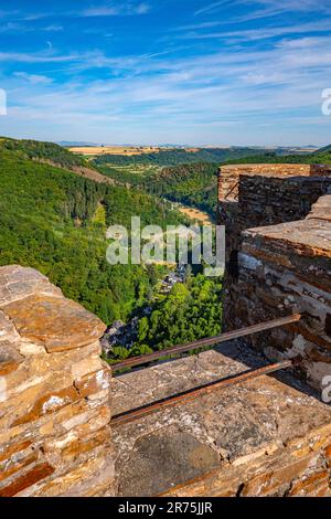 Lick nella valle di Ehrbach da Ehrenburg vicino a Brodenbach, valle di Mosel, Mosel, Renania-Palatinato, Germania Foto Stock