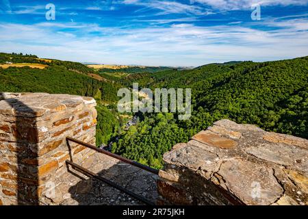 Lick nella valle di Ehrbach da Ehrenburg vicino a Brodenbach, valle di Mosel, Mosel, Renania-Palatinato, Germania Foto Stock