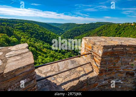 Lick nella valle di Ehrbach da Ehrenburg vicino a Brodenbach, valle di Mosel, Mosel, Renania-Palatinato, Germania Foto Stock