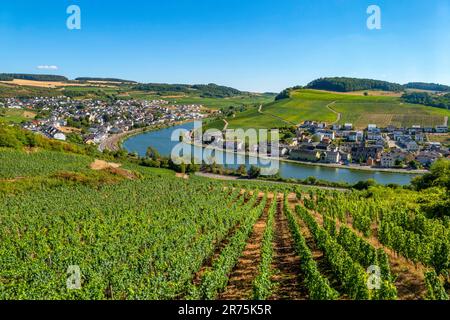 Nittel sull'alta Mosella e Stadtbredimuns, Lussemburgo, Mosella, Valle della Mosella, Renania-Palatinato, Germania Foto Stock