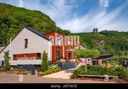 Saarschleifen Lodge vicino Mettlach-Dreisbach con albero a piedi sul Cloef in Orscholz al Saarschleife, quartiere Merzig-Wadern, Mettlach, Saar, Saartal, Saarland, Germania Foto Stock