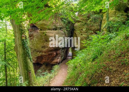 Punto di vista 'Felsenpfad' sul Klause nel distretto di Kastel, Kastel-Staadt, Saartal, Parco Naturale Saar-Hunsrück, Saargau, Renania-Palatinato, Germania Foto Stock