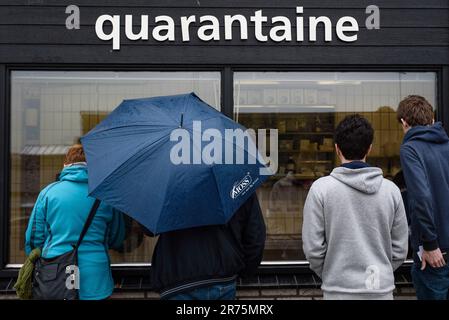 Im Ecomare in Texel Holland, einer Aufzucht Station für Seehunde Foto Stock