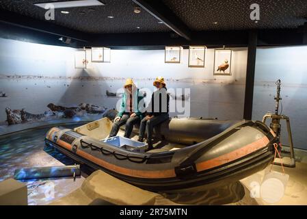 Im Ecomare in Texel Holland, einer Aufzucht Station für Seehunde Foto Stock