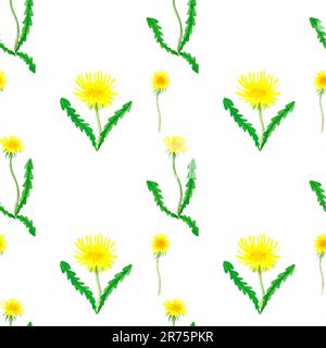 Fiori di dente di leone giallo, disegnati a mano - motivo floreale senza cuciture su sfondo bianco Foto Stock