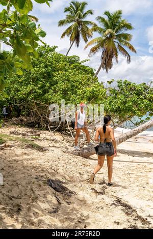 Nord America, Caraibi, grandi Antille, Isola di Hispaniola, Repubblica Dominicana, Provincia di Sama, Penisola di Sama, Las Galeras, Playa Caletón, due amiche sulla spiaggia Foto Stock