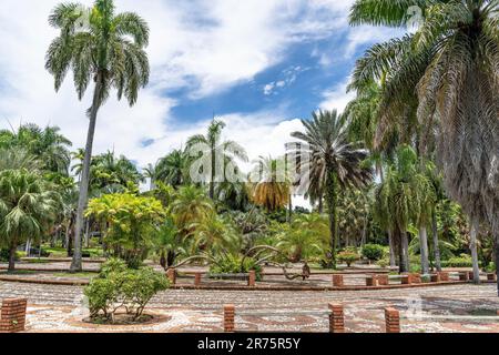 Nord America, Caraibi, grandi Antille, Isola di Hispaniola, Repubblica Dominicana, Santo Domingo, Giardino Botanico a Santo Domingo Foto Stock