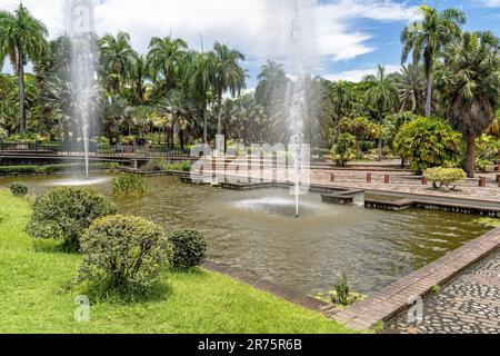 Nord America, Caraibi, grandi Antille, Isola di Hispaniola, Repubblica Dominicana, Santo Domingo, Giardino Botanico a Santo Domingo Foto Stock