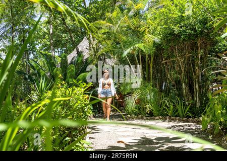 Nord America, Caraibi, grandi Antille, Isola di Hispaniola, Repubblica Dominicana, Costa del Nord, Provincia di Puerto Plata, Cabarete, attraente Latina cammina un sentiero nel Boutique Hotel natura Cabana lungo Foto Stock