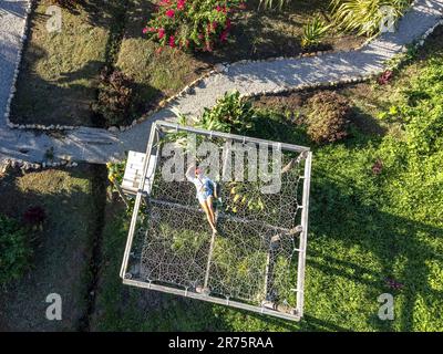 Nord America, Caraibi, grandi Antille, Isola di Hispaniola, Repubblica Dominicana, Provincia di Sama, penisola di Sama, El Limón, giovane donna sdraiata su un'enorme amaca in Sama Eco Lodge Foto Stock