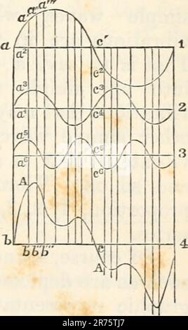 "Gli elementi della fisica fisiologica: Una descrizione dei fatti, dei principi e dei metodi elementari della fisica e delle loro applicazioni in fisiologia" (1884) Foto Stock