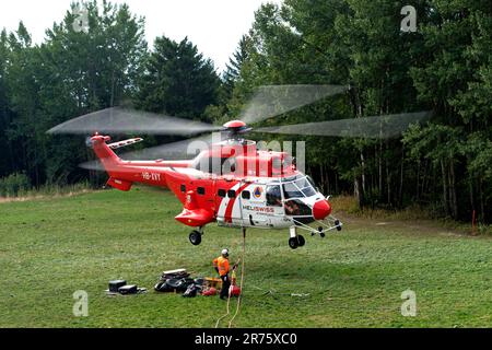 Elicottero da trasporto multiuso AS 332 Super Puma C1 HB-XVY di Heliswiss International AG decolta da un prato forestale, Vallese, Svizzera Foto Stock