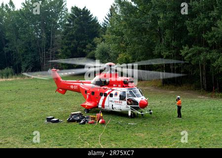 Elicottero da trasporto multiuso AS 332 Super Puma C1 HB-XVY di Heliswiss International AG su un prato forestale, Vallese, Svizzera Foto Stock