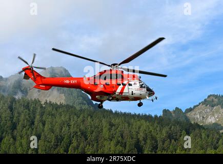 Elicottero da trasporto multiuso AS 332 Super Puma C1 HB-XVY di Heliswiss International AG vola su una foresta montuosa, Vallese, Svizzera Foto Stock