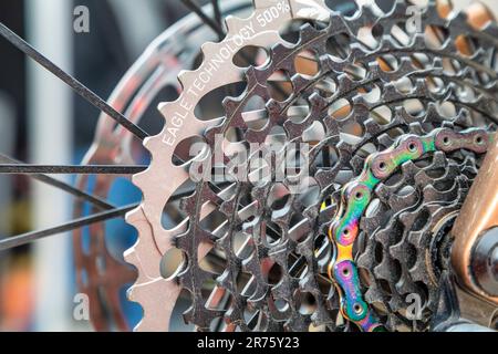 Europa, Italia, e-bike, bicicletta elettrica, catena, scatola del pignone, cambio di velocità e catena Foto Stock