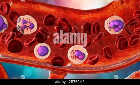 Flusso sanguigno. Illustrazione del computer che mostra diversi tipi di cellule del sangue, eritrociti, neutrofili, linfociti, eosinofili, basofili e piastrine Foto Stock