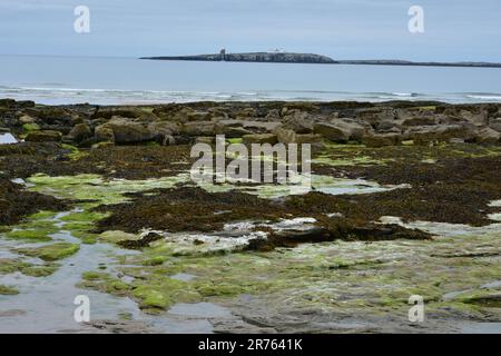 Isole Farne, viste dalla spiaggia di Seahouses, in estate, Northumberland Foto Stock