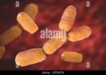 Archaea procariote dell'intestino umano (Methanobrevivacter smithii), illustrazione del calcolatore. Methanobrebacter smithii è il principale intestino umano (intestino) A. Foto Stock
