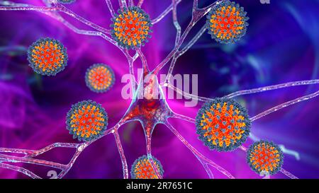 Illustrazione dei virus SARS-Cov-2, la causa di Covid-19, che infettano i neuroni (cellule nervose). SARS-COV-2 è emerso a Wuhan, Cina, nel dicembre 2019 e s. Foto Stock