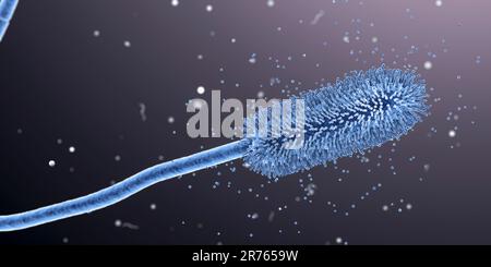 Aspergillus clavatus muffa funghi, computer illustrazione. Un fungo microscopico del suolo, causa aspergillosi allergica, infezioni polmonari, endocardite, exter Foto Stock