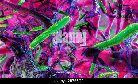 Biofilm dei batteri Mycobacterium tuberculosis, l'agente causativo della tubercolosi, illustrazione del calcolatore. Foto Stock