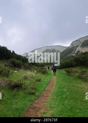 Un gruppo di escursionisti attivi che si fanno strada lungo un tortuoso sentiero di montagna Foto Stock