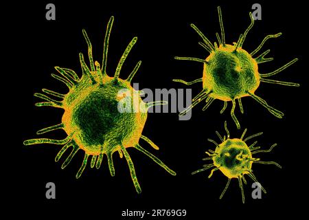 Microorganismi patogeni astratti, computer illustrazione Foto Stock