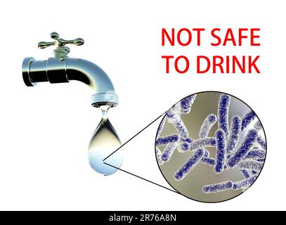 Sicurezza dell'acqua potabile, immagine concettuale che mostra i microbi in una goccia di acqua di rubinetto. Foto Stock