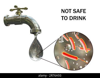 Sicurezza dell'acqua potabile, immagine concettuale che mostra i microbi in una goccia di acqua di rubinetto. Foto Stock