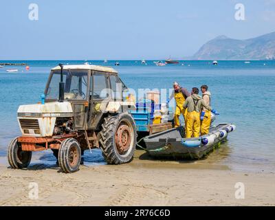 I pescatori scaricano il loro pescato su un trattore e un rimorchio sulla spiaggia di Porth Dullaen sulla penisola di Lleyn Galles del Nord Regno Unito Foto Stock