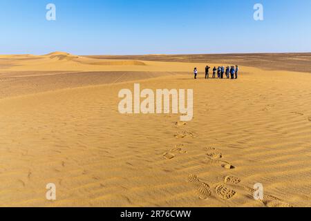 i viaggiatori si riuniscono intorno al tour leader di gruppo sotto il caldo cielo blu del remoto deserto occidentale in sudan per imparare delle attività del giorno Foto Stock