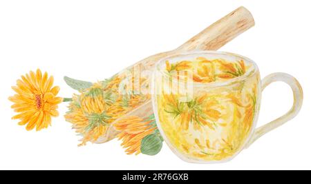 Calendula officinalis arancione in paletta di legno per prodotti sfusi e tazza di tè. Illustrazione disegnata a mano con acquerello. Elemento botanico per etichette, eco Foto Stock