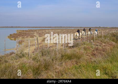 Camargue, Francia - 7 marzo 2023: Cavalieri nella Camargue in una giornata di sole in primavera, pascolo, Provenza (Francia) Foto Stock