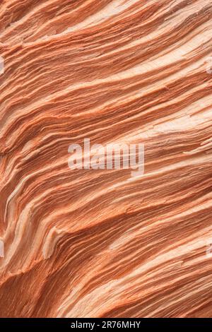 Macro fotografia di texture in un pezzo di legna spaccato Foto Stock