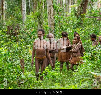 Gli abitanti del villaggio della tribù Korowai stanno tornando dalla foresta. Tribù di Korowai (Kombai , Kolufo). Foto Stock