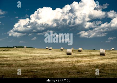 Rotola di paglia rotonda su un campo raccolto sotto un cielo nuvoloso e blu profondo in Rocky View County Alberta Canada. Foto Stock