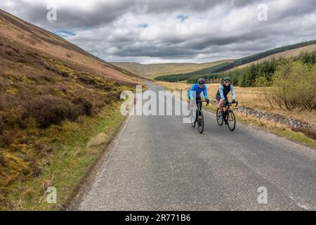 Due uomini felici che socializzano in bici da strada sulla B709 attraverso splendidi paesaggi e strade tranquille mantenendo la forma ai confini scozzesi, Scozia, U. Foto Stock