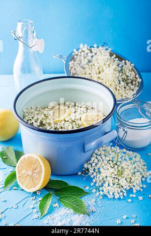 Processo di preparazione di una bevanda estiva, a base di fermentazione naturale dei fiori di anziano in acqua limone e zucchero. Preparazione di uno sciroppo di fiore di sambuco da Foto Stock