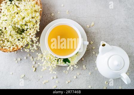 Tè con fiori di anziano. Tè fatto in casa di fiore di sambuco, guarnito con fiore di sambuco Foto Stock