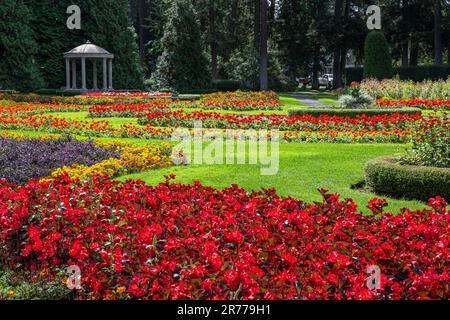 WA23385-00....WASHINGTON - esposizione colorata del fiore nel giardino di Duncan al parco di Manito in Spokane. Foto Stock