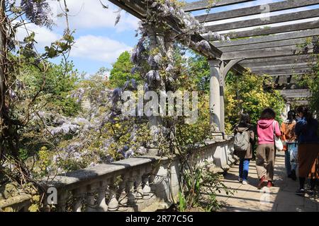La Georgian Pergola in the Hill Garden con ampie vedute su Hampstead Heath nel nord di Londra, Regno Unito Foto Stock